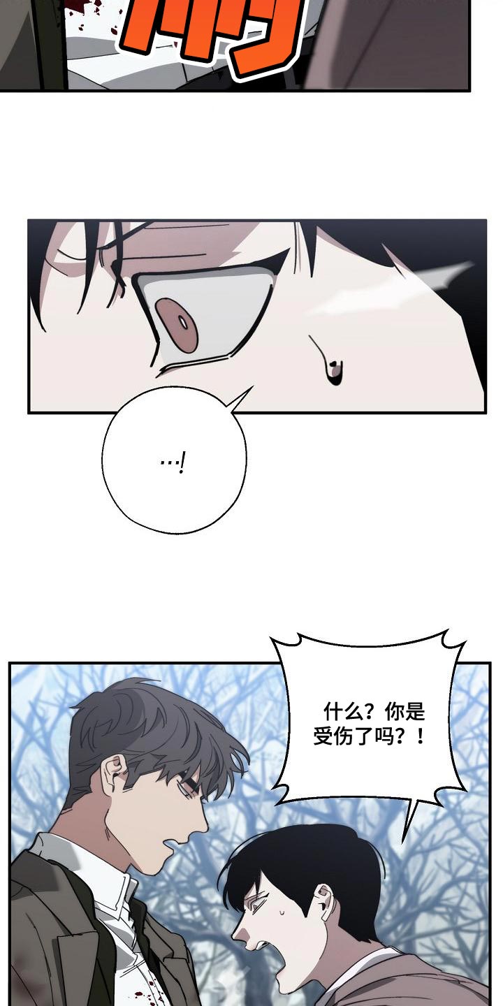 《危险交换》第180章我没有受伤 第13页