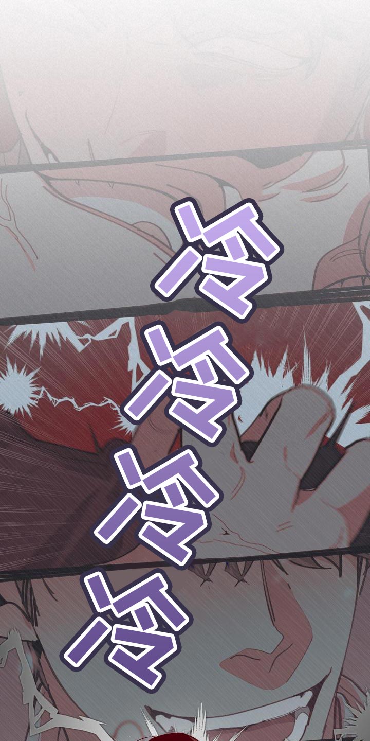 《危险交换》第178章同归于尽 第25页
