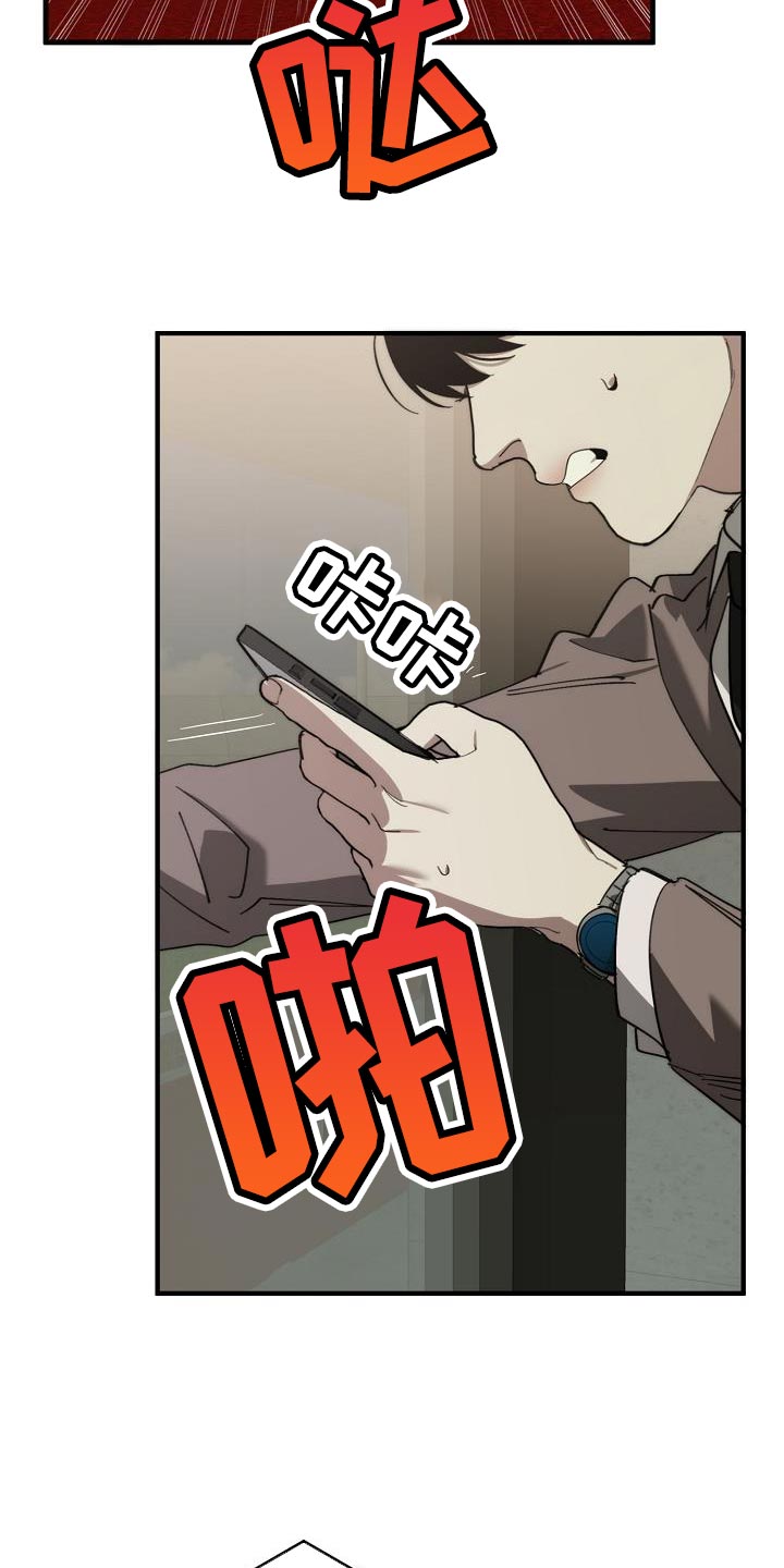 《危险交换》第178章同归于尽 第28页