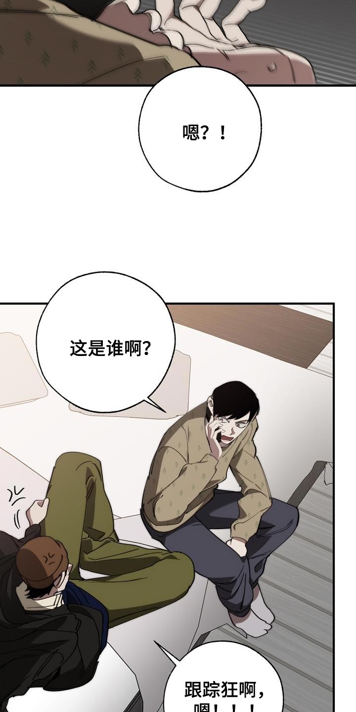 《危险交换》第183章该死的老虎 第27页