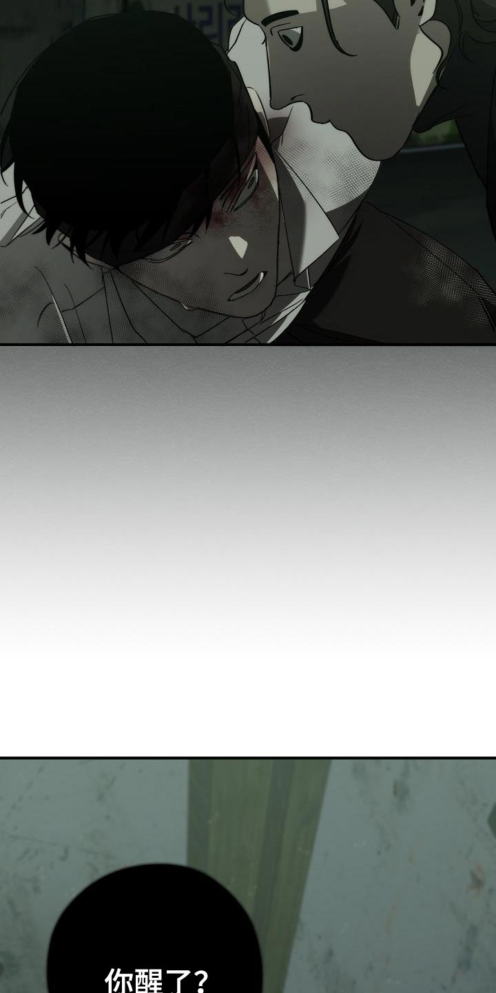 《危险交换》第190章你醒了 第17页