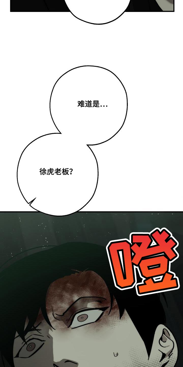 《危险交换》第192章我是他的弱点 第5页