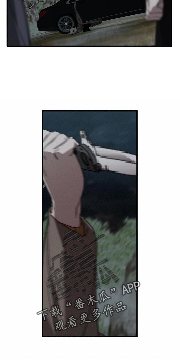 《危险交换》第195章以防万一 第13页