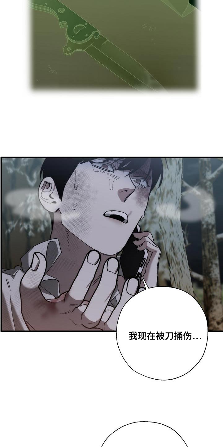 《危险交换》第194章为什么现在才来！ 第17页
