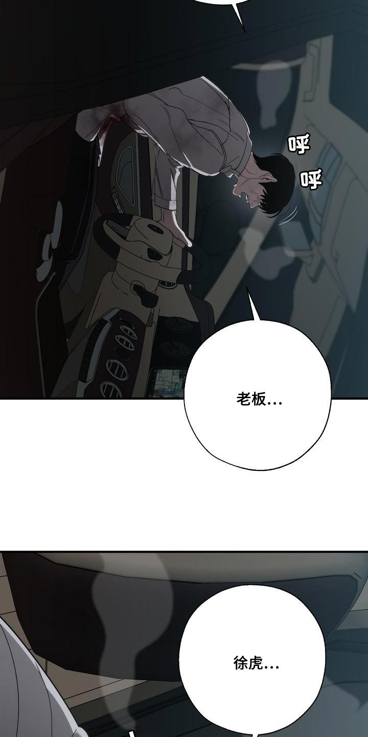 《危险交换》第196章自爆 第5页