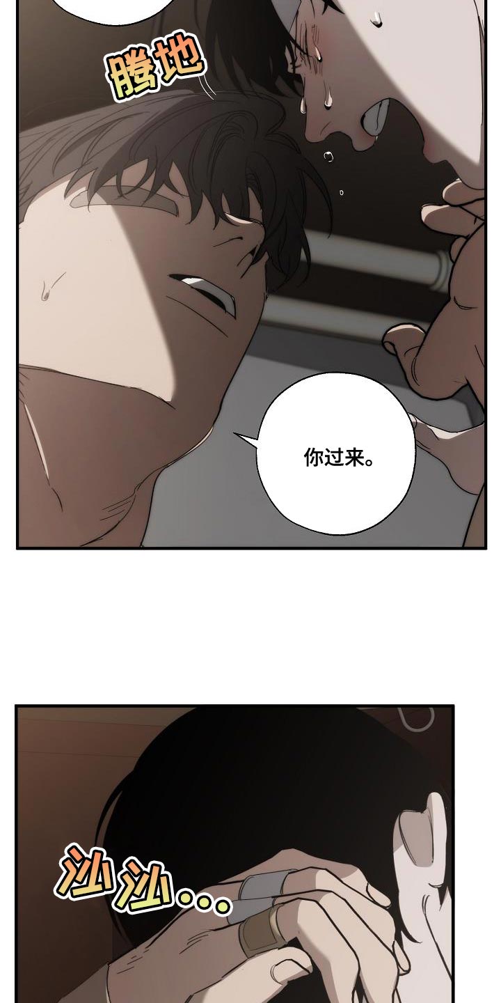 《危险交换》第198章真的是万幸 第20页