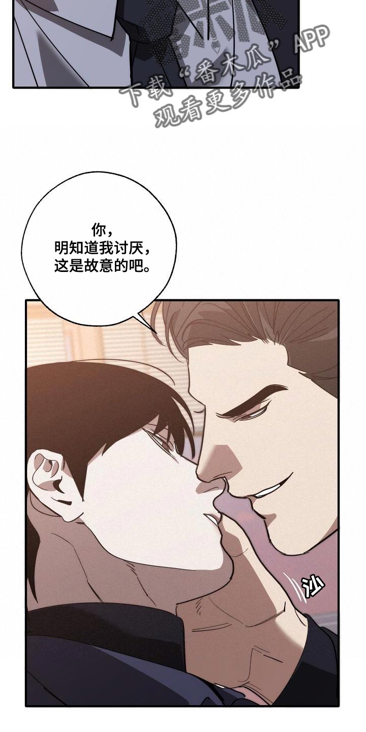 《危险交换》第200章交换【完结】 第31页