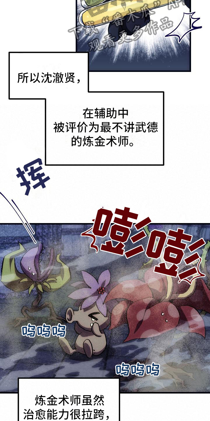 《神级菜鸟》第6章天才 第12页