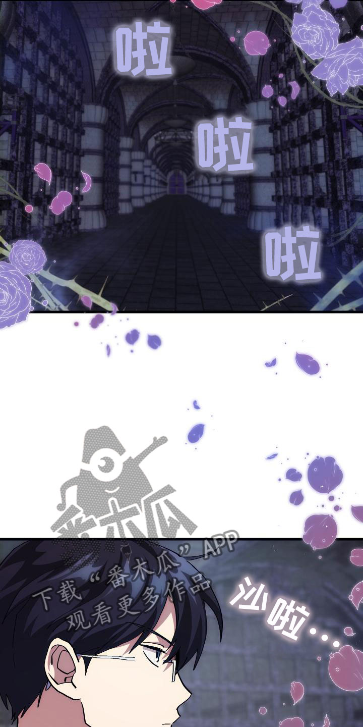 《神级菜鸟》第6章天才 第3页