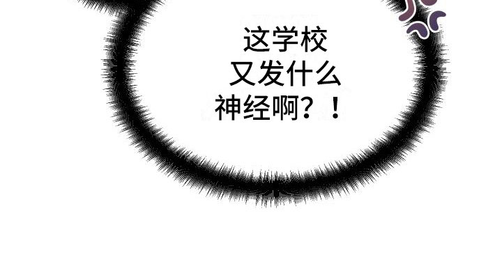 《神级菜鸟》第9章课题小组 第33页