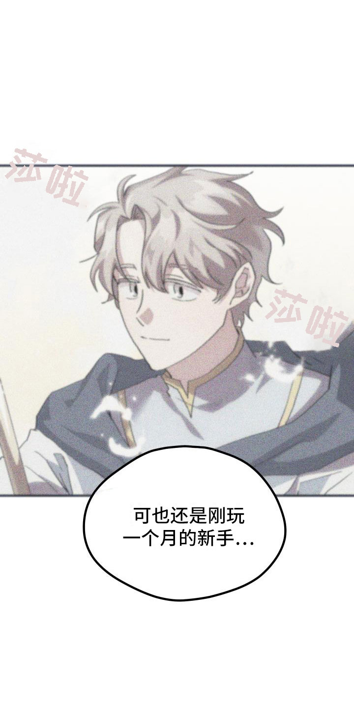 《神级菜鸟》第8章新手装备 第28页