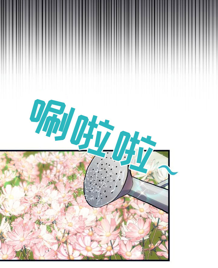 《神级菜鸟》第15章主动 第10页