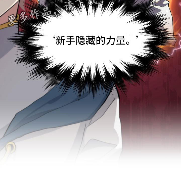 《神级菜鸟》第18章新手力量 第29页