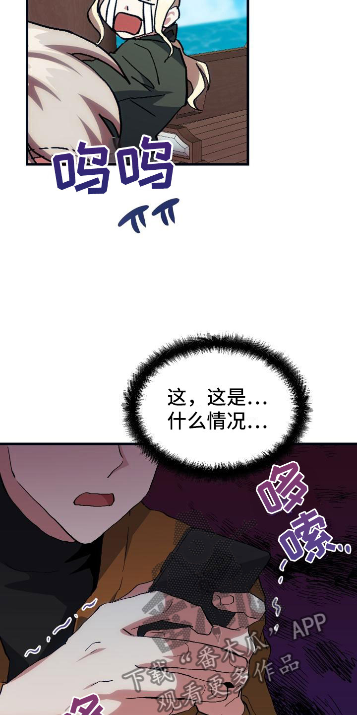 《神级菜鸟》第17章暴走 第26页
