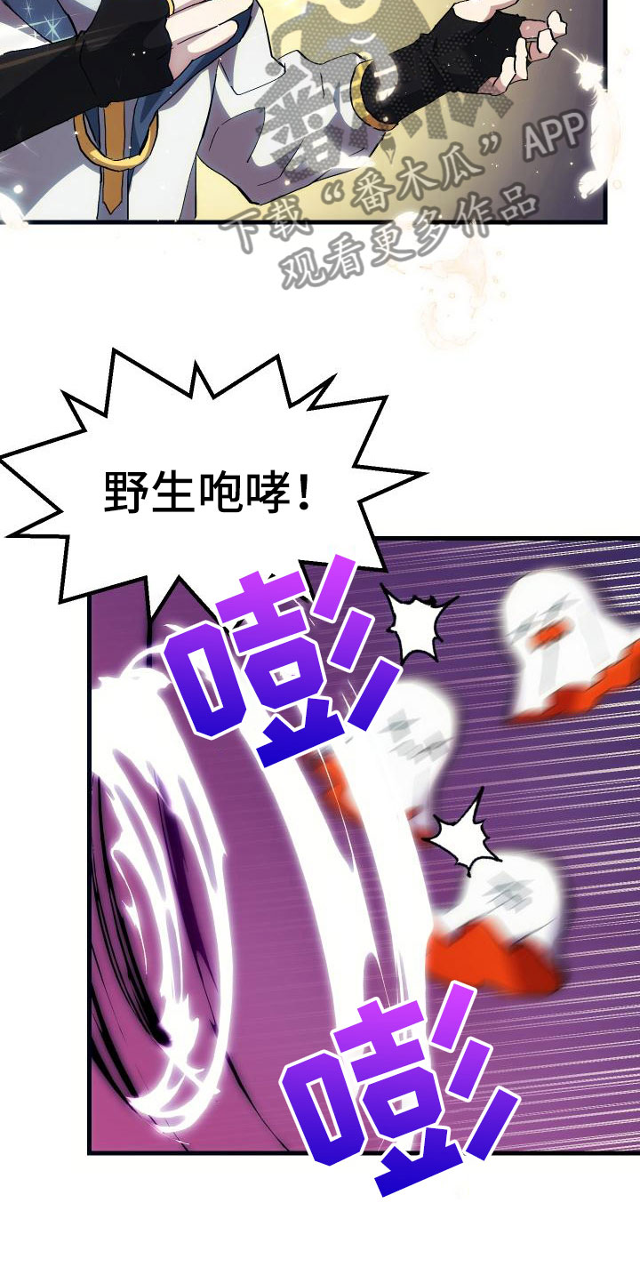 《神级菜鸟》第21章活动boss 第11页