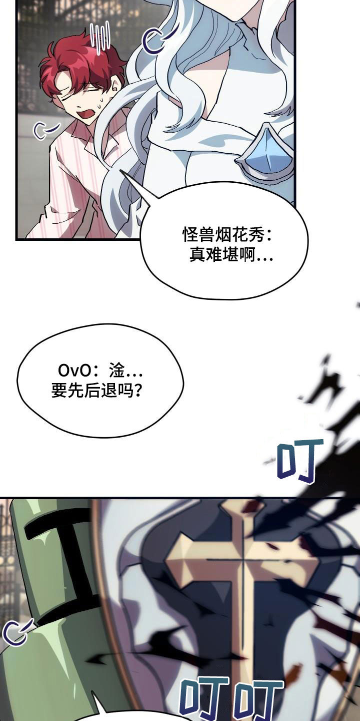 《神级菜鸟》第25章最终攻击 第15页