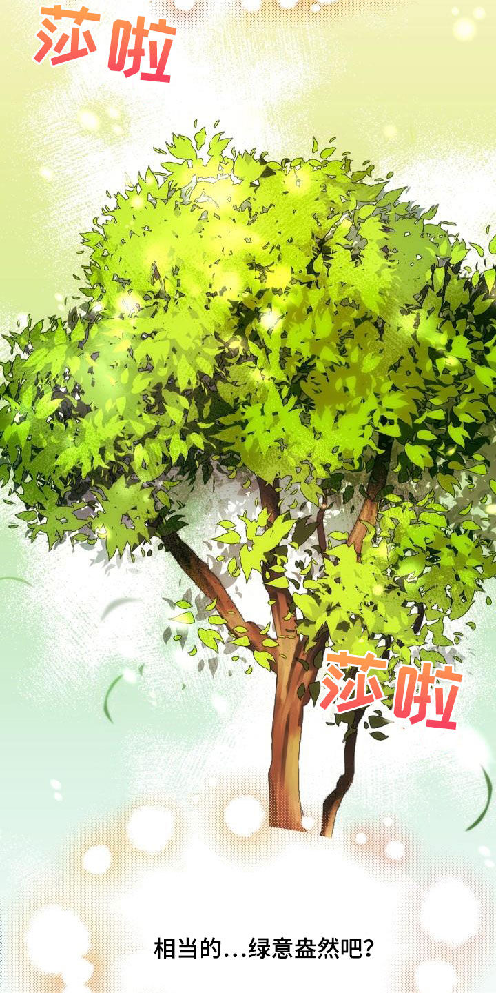 《神级菜鸟》第25章最终攻击 第2页