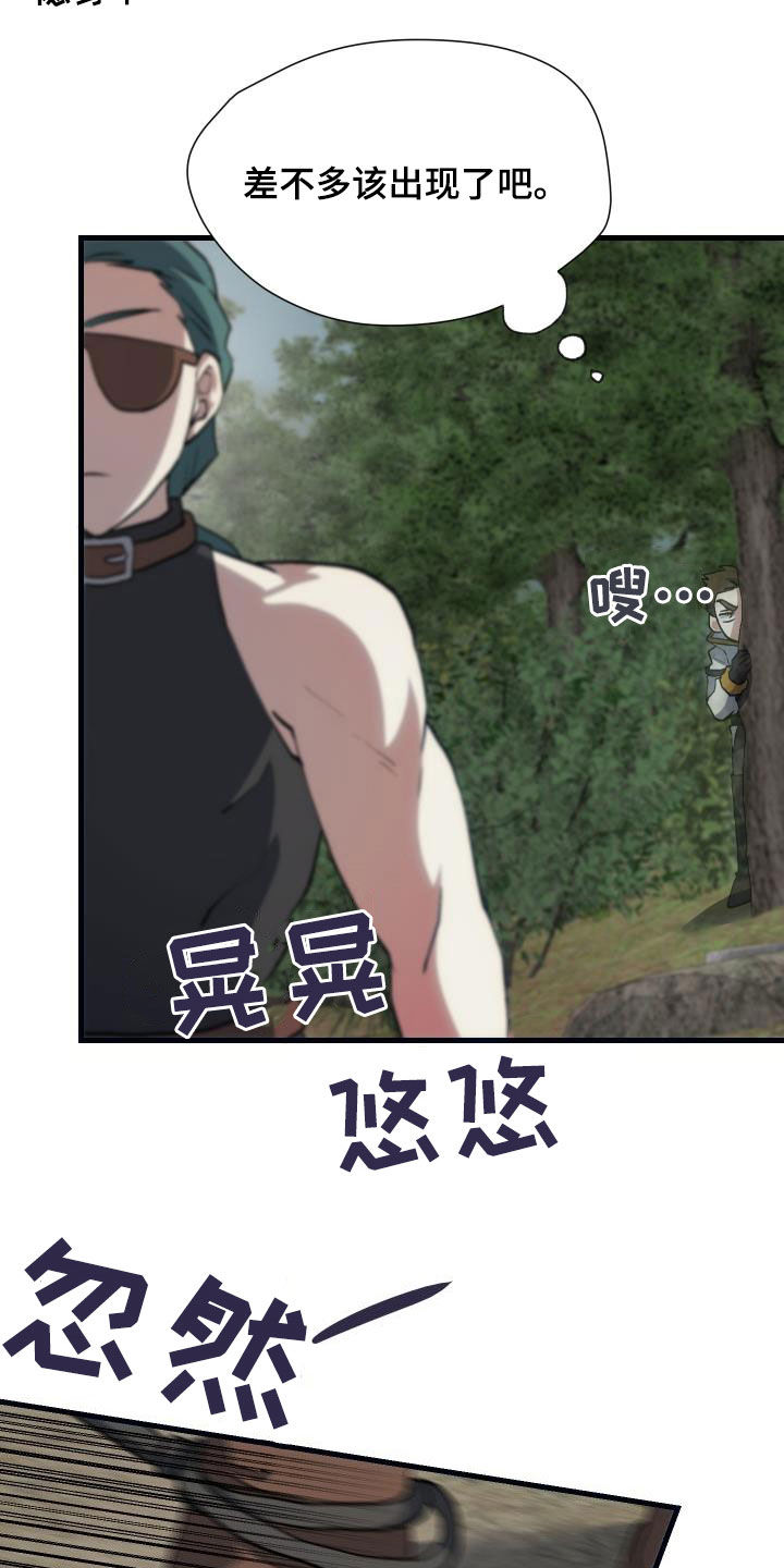 《神级菜鸟》第29章神秘刺客 第15页