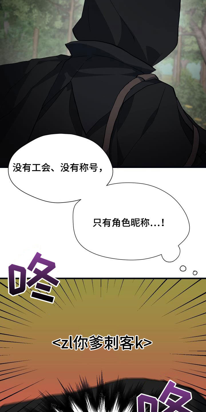《神级菜鸟》第29章神秘刺客 第18页