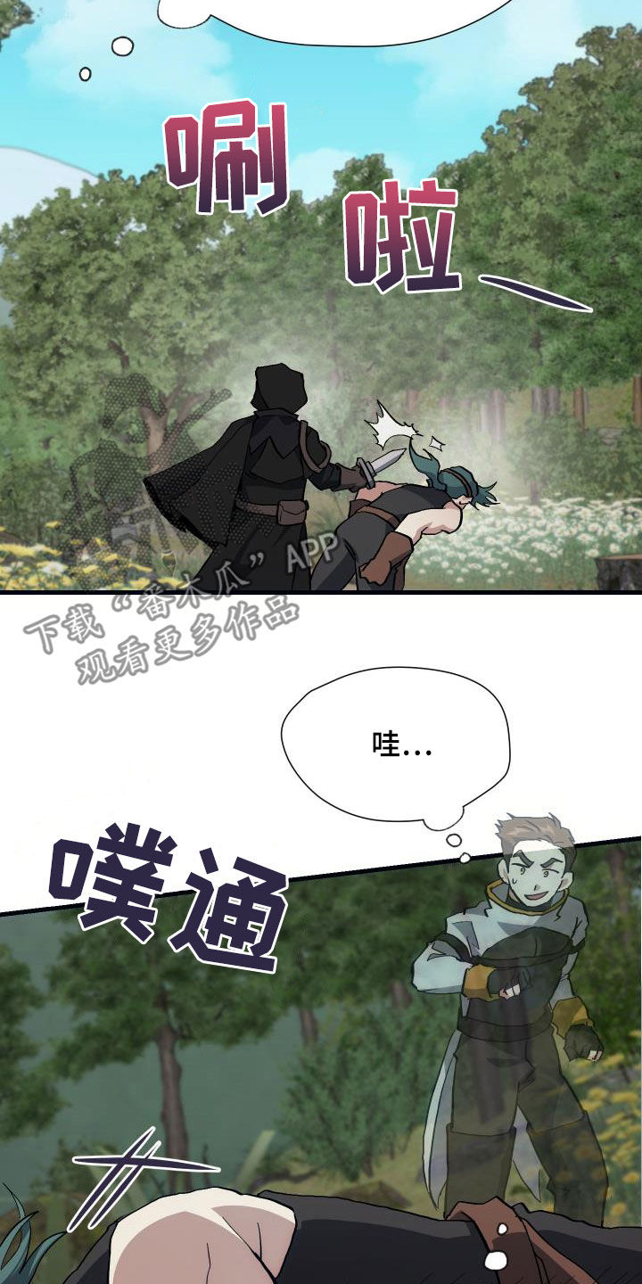 《神级菜鸟》第29章神秘刺客 第21页