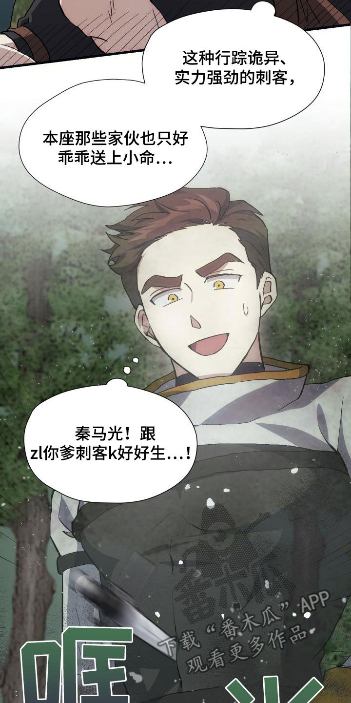 《神级菜鸟》第29章神秘刺客 第22页