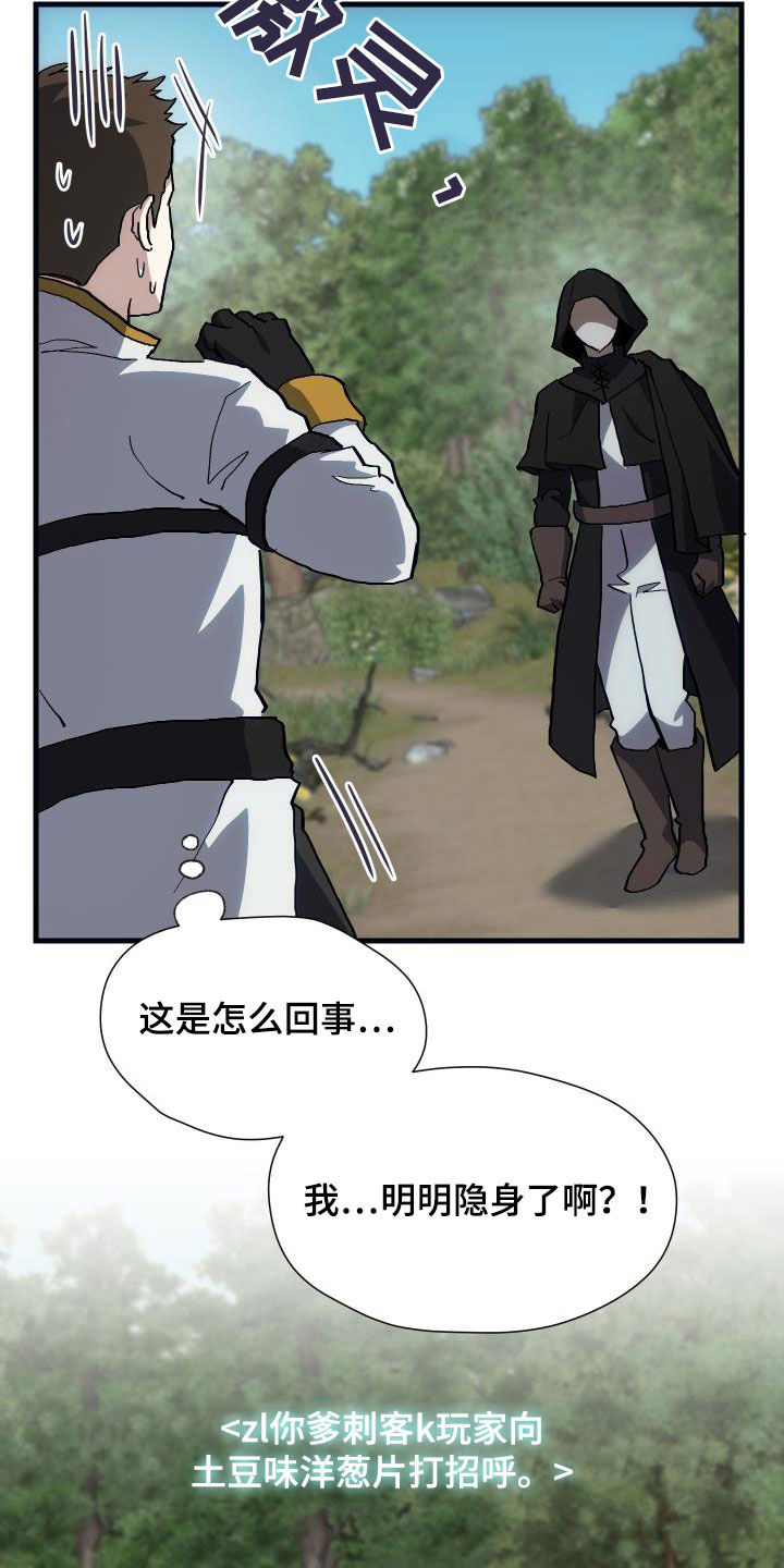 《神级菜鸟》第29章神秘刺客 第24页