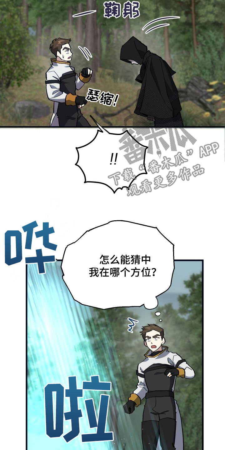 《神级菜鸟》第29章神秘刺客 第25页