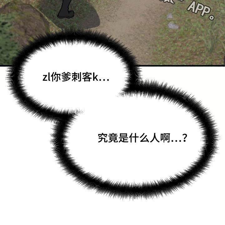《神级菜鸟》第29章神秘刺客 第27页