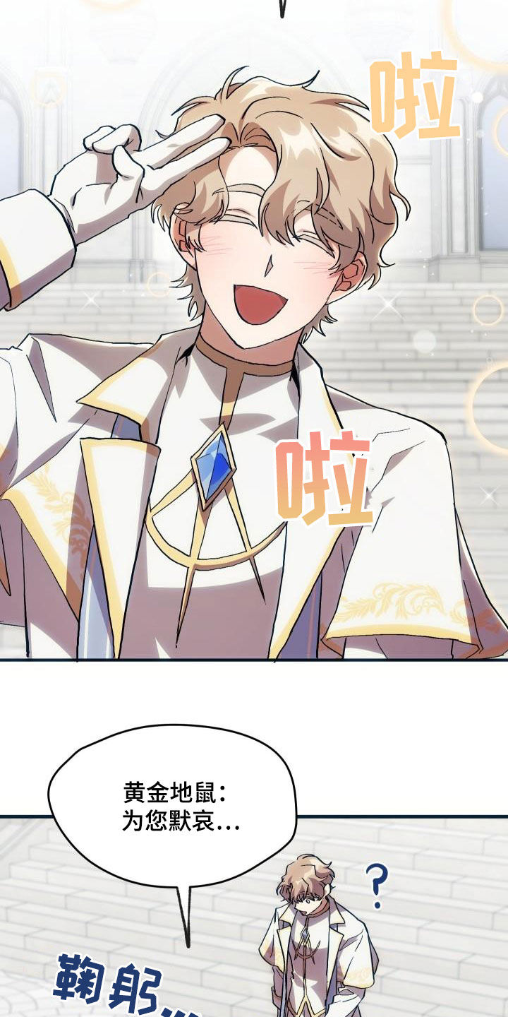 《神级菜鸟》第30章面试 第11页