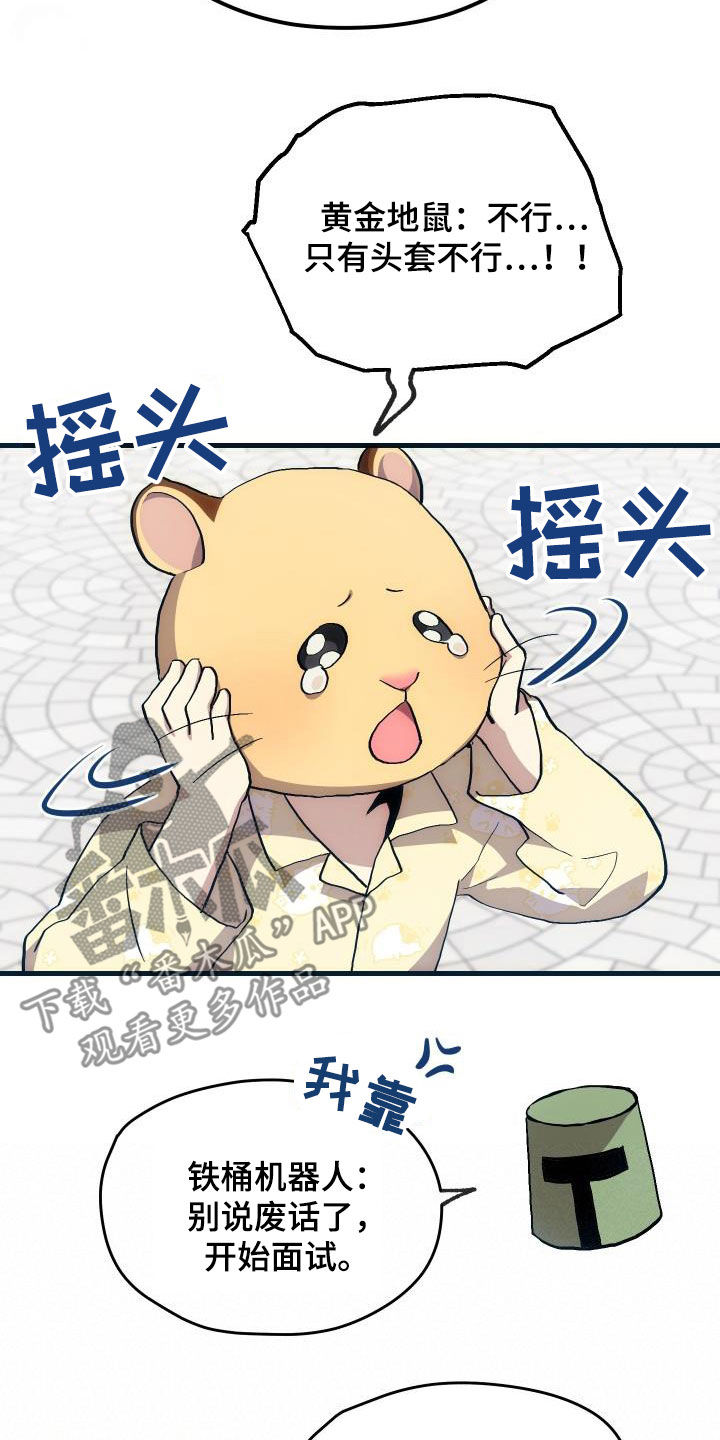 《神级菜鸟》第30章面试 第19页