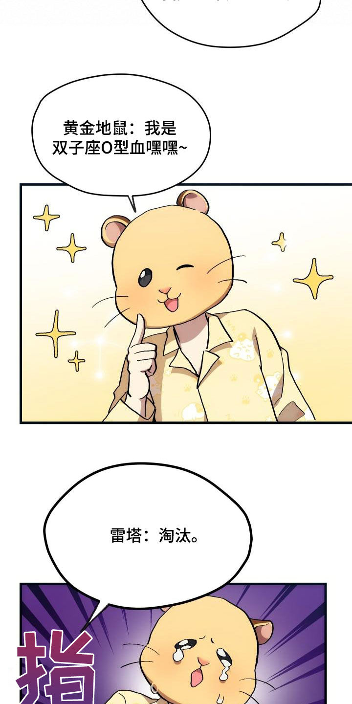 《神级菜鸟》第31章选择 第6页