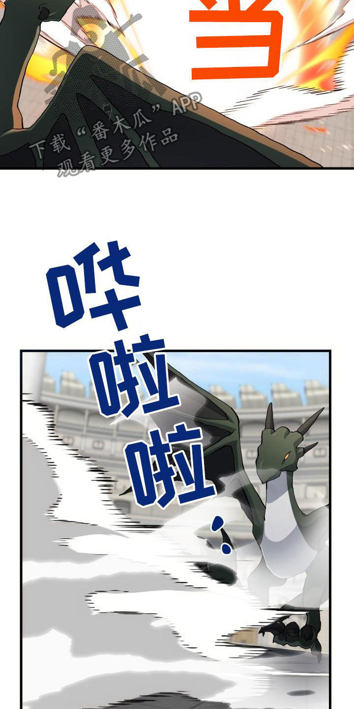 《神级菜鸟》第48章交战 第3页