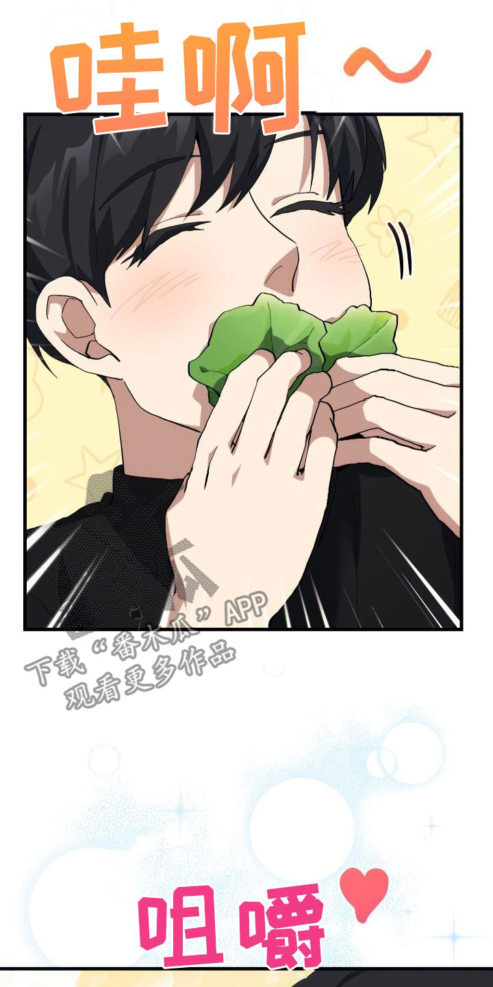 《神级菜鸟》第52章庆祝 第17页