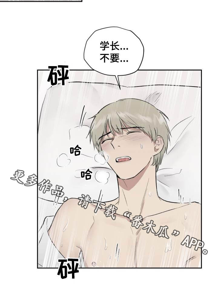 《职场的规则》第47章第三次相遇 第16页