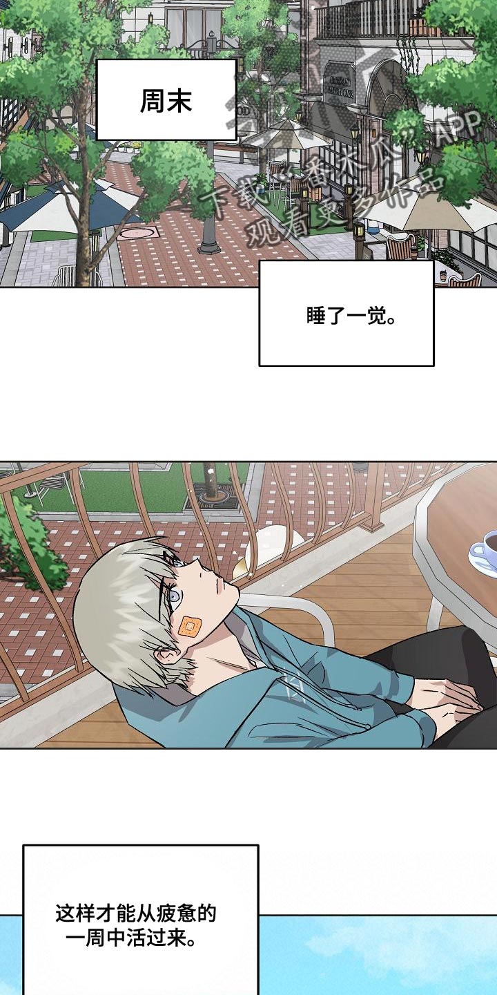 《职场的规则》第73章资格 第13页