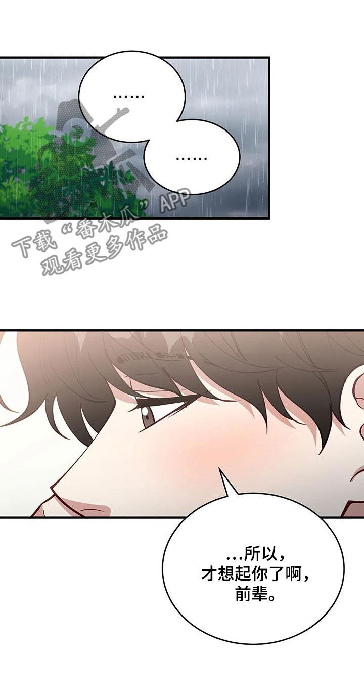 《安全区》第32章因为下雨（完结） 第7页