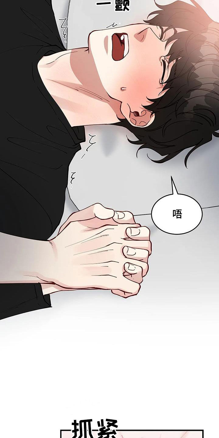 《安全区》第28章哭得这么美丽 第5页