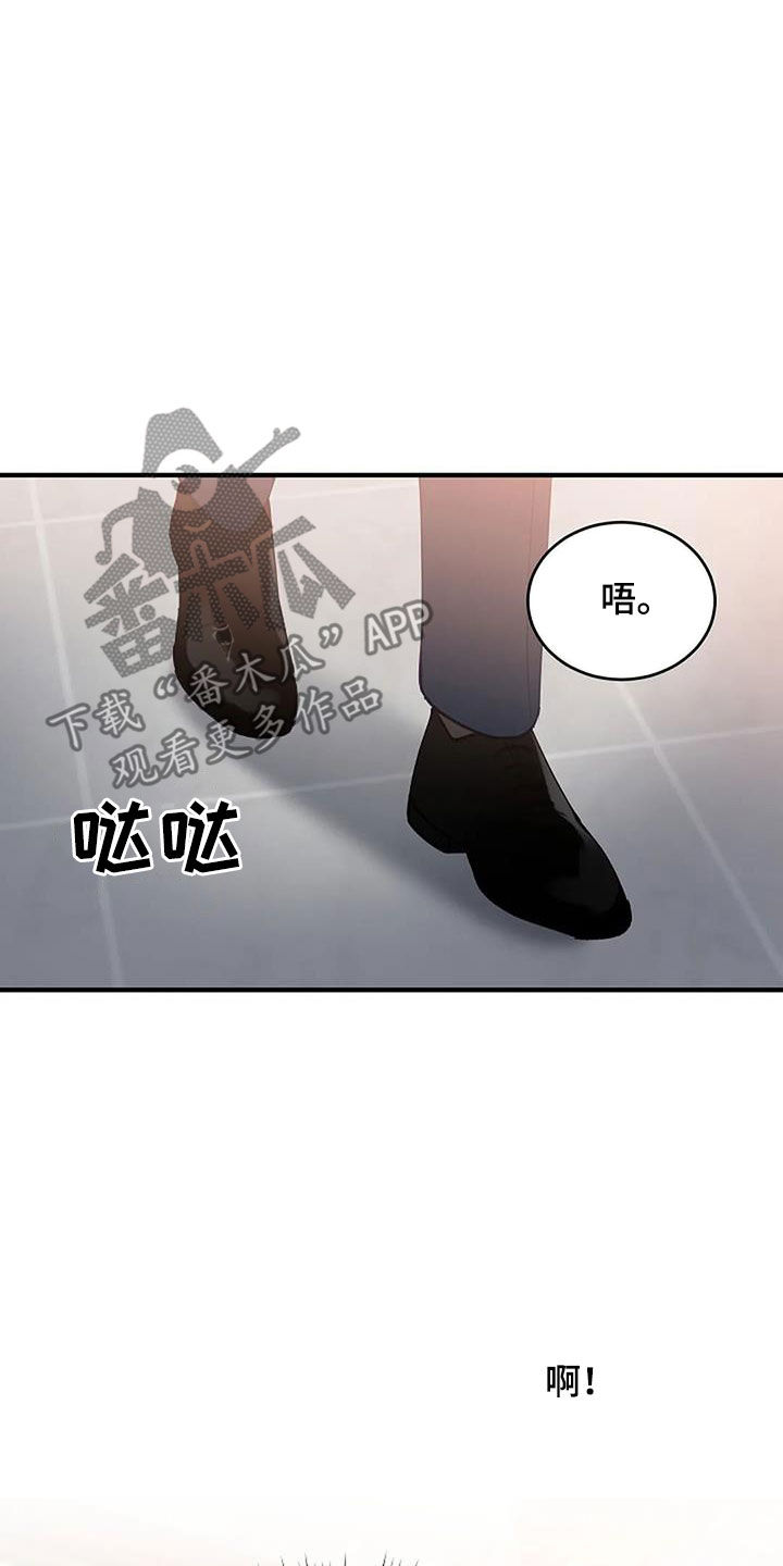 《安全区》第27章还有谁 第15页