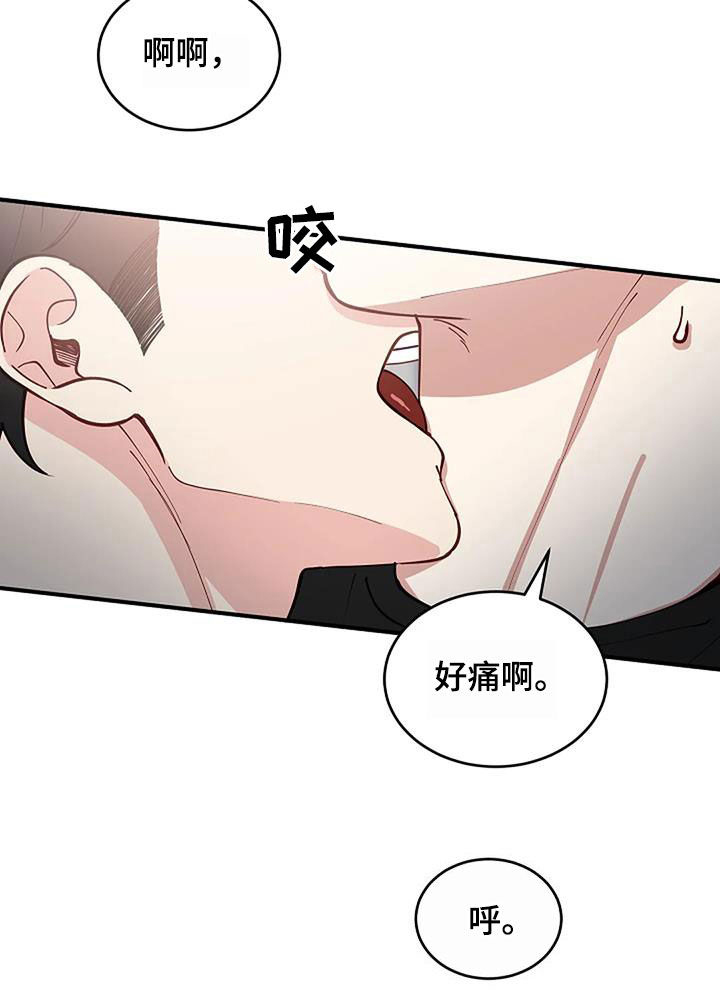 《安全区》第26章只是熟悉 第20页