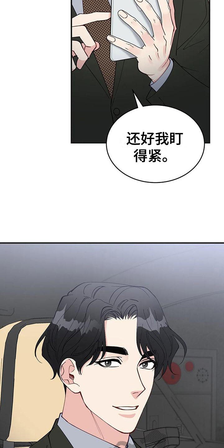 《安全区》第19章买研究所 第15页