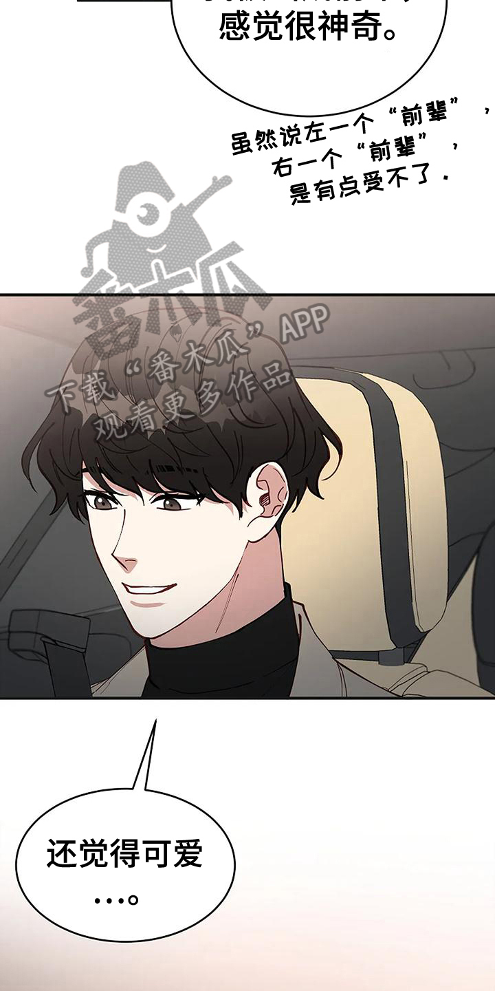《安全区》第19章买研究所 第8页