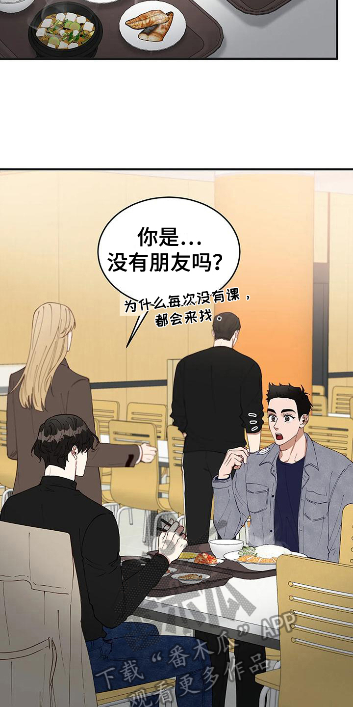 《安全区》第18章开学 第11页
