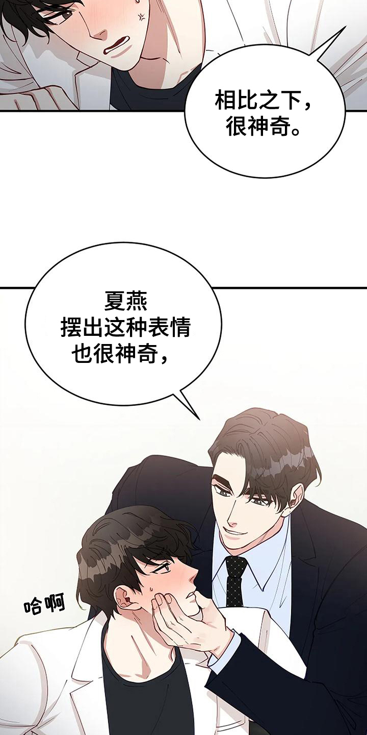 《安全区》第16章早有准备 第2页
