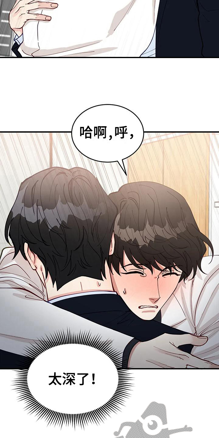 《安全区》第17章看脸 第17页