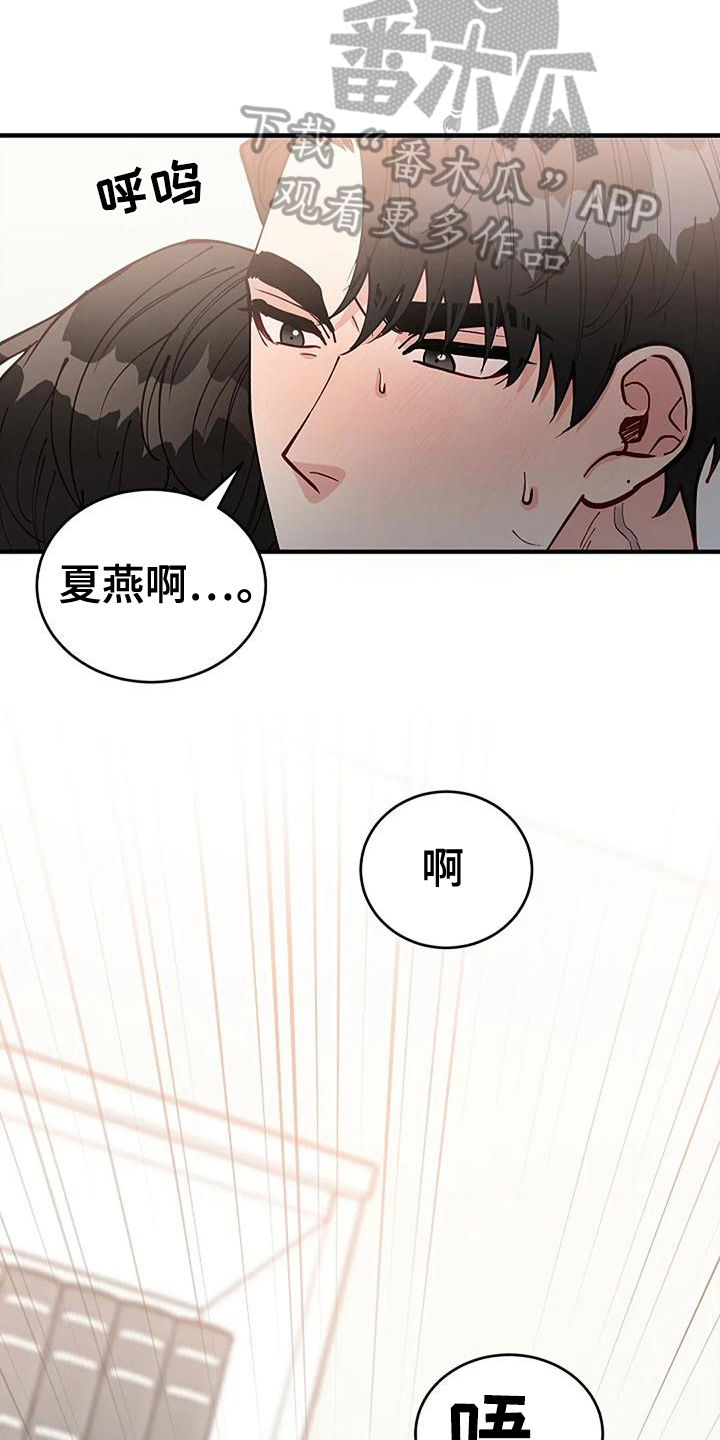 《安全区》第17章看脸 第18页