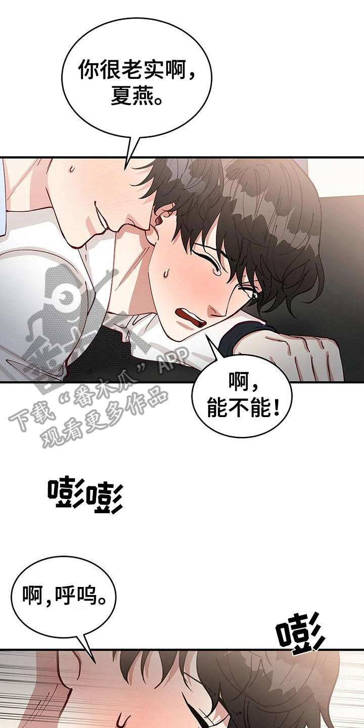 《安全区》第17章看脸 第1页