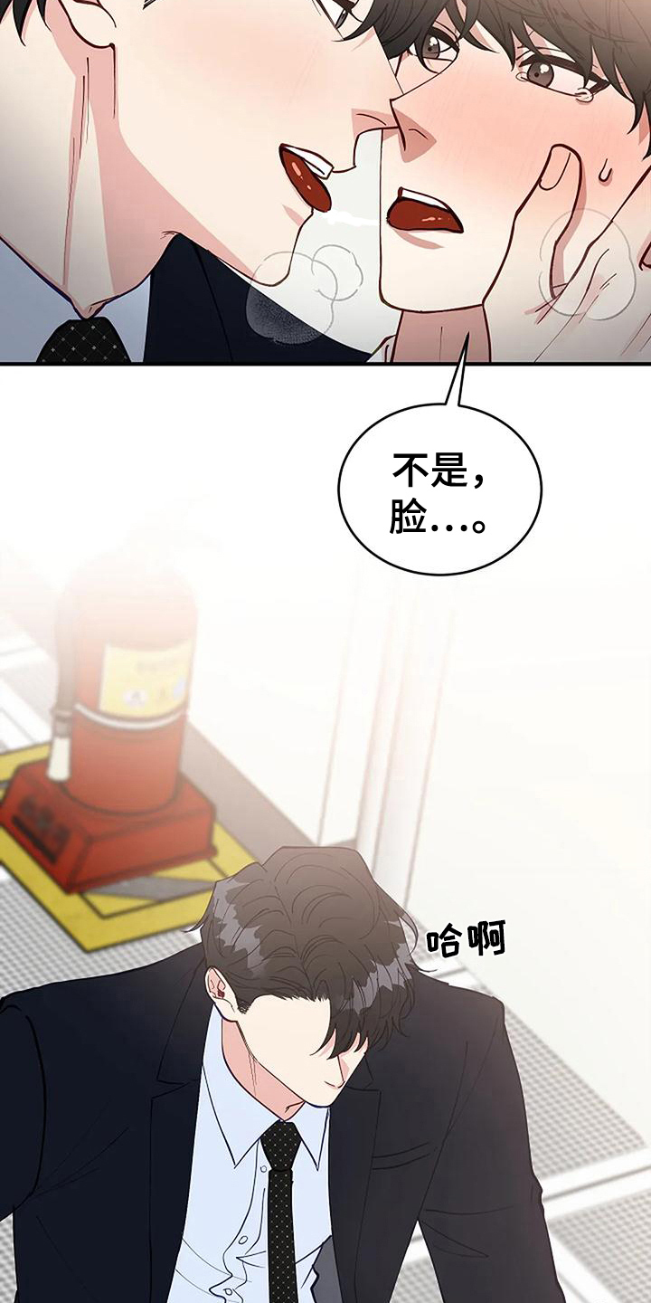《安全区》第17章看脸 第5页