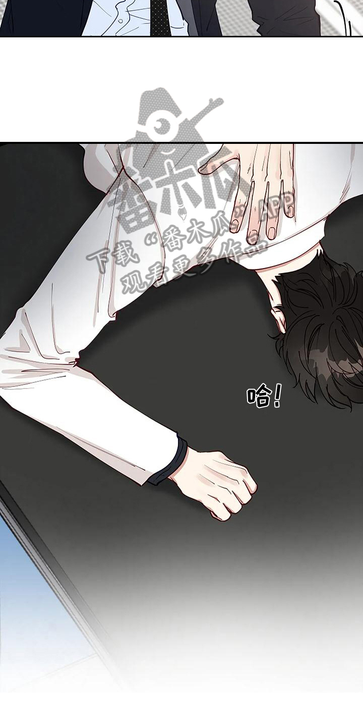 《安全区》第17章看脸 第6页