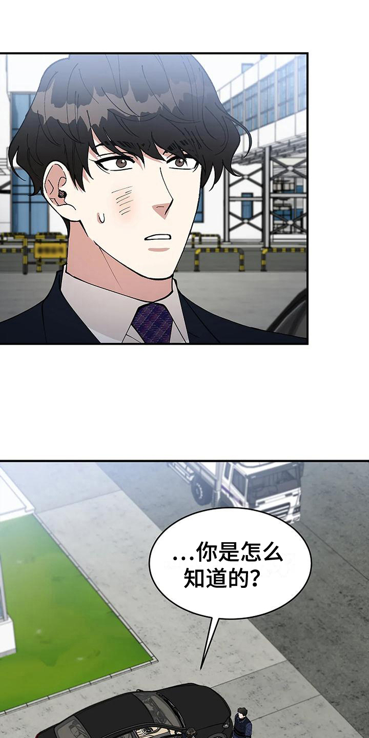 《安全区》第11章疑点 第6页