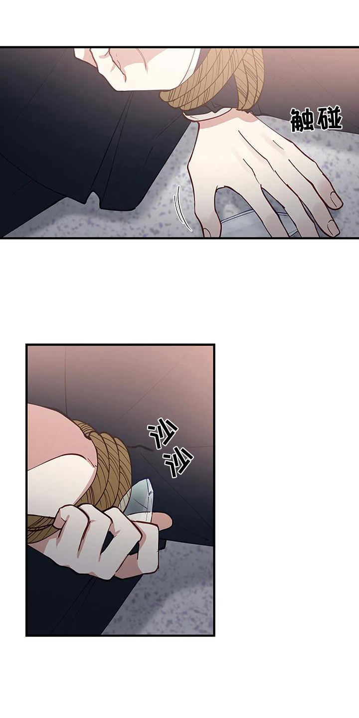 《安全区》第9章反击 第17页